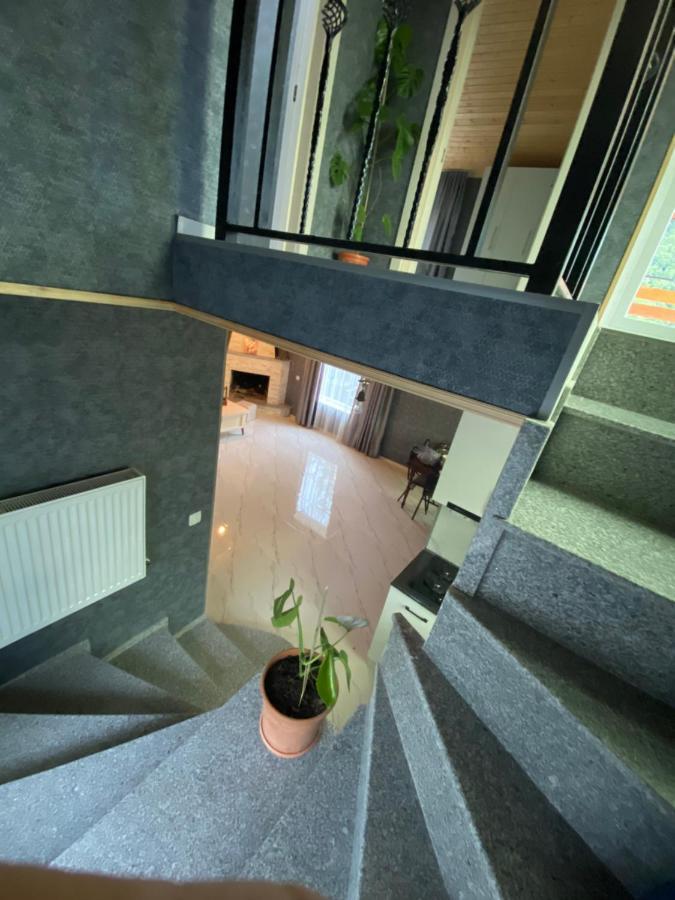 Buo'S Guest House Borjomi Bagian luar foto