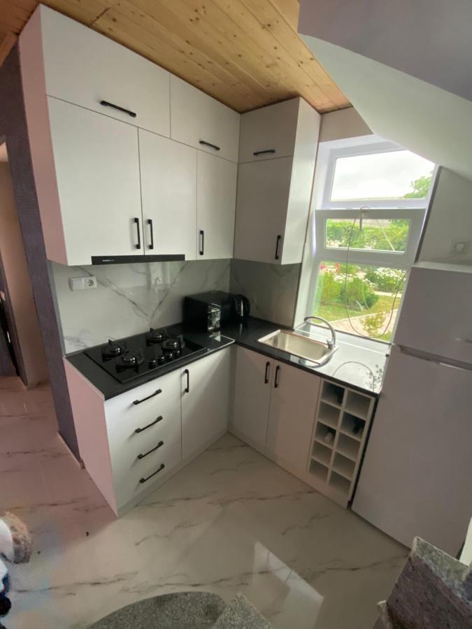 Buo'S Guest House Borjomi Bagian luar foto